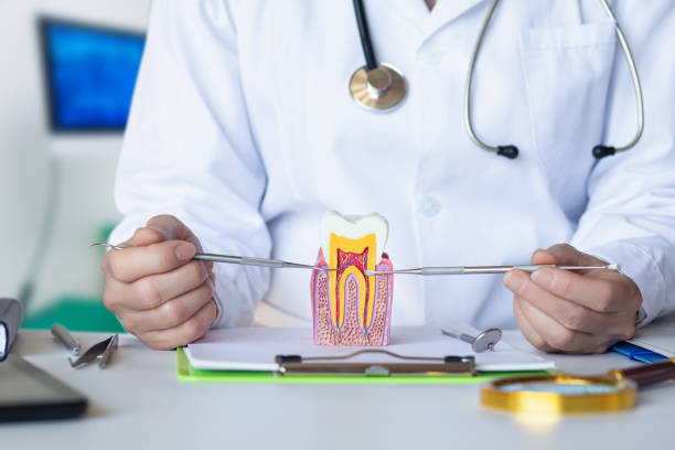 Best Orthodontic Emergency Dentist in Clermont, IN